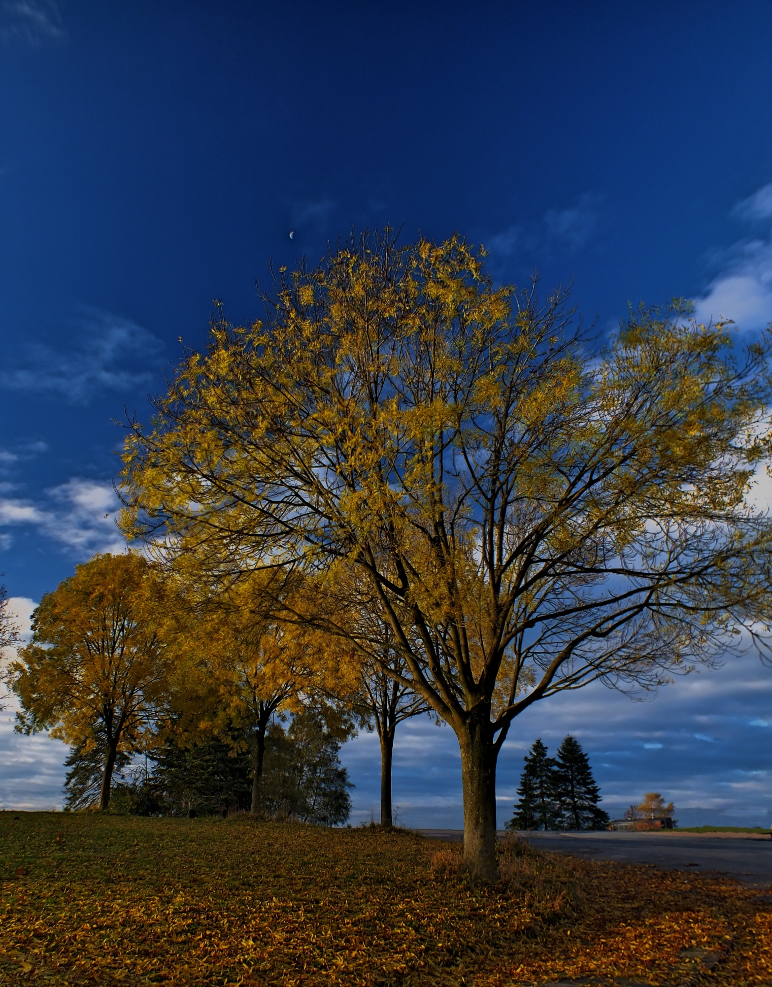 Herbst 01 k
