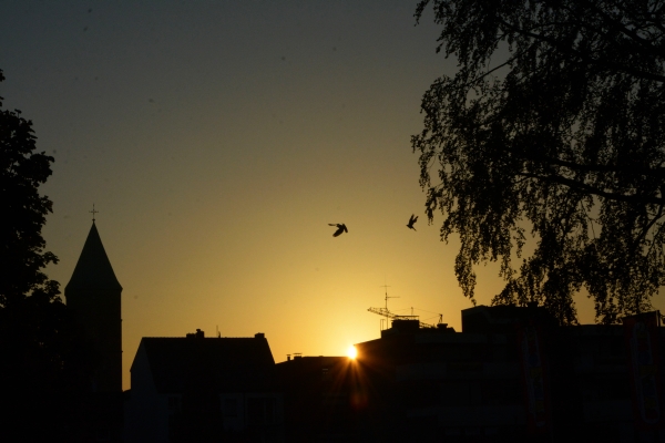 Sonnenaufgang in Rheine